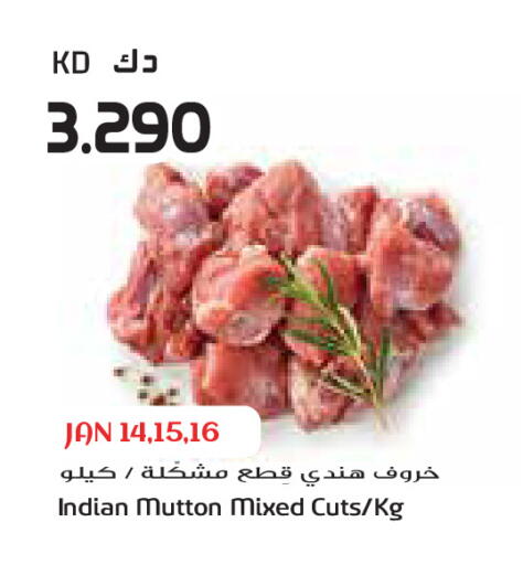 available at Grand Costo in Kuwait - Ahmadi Governorate