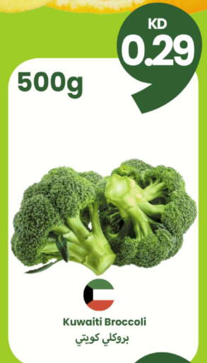 Broccoli from Kuwait available at Taw9eel.com in Kuwait - Kuwait City