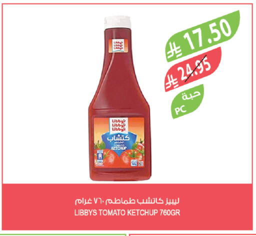 Tomato available at Farm  in KSA, Saudi Arabia, Saudi - Saihat