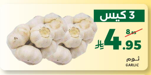 Garlic available at ميرا مارت مول in مملكة العربية السعودية, السعودية, سعودية - جدة