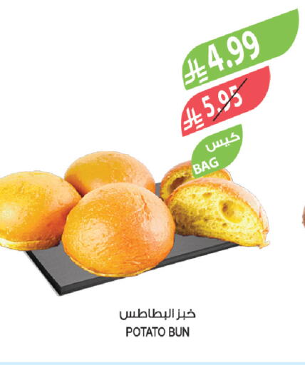 Potato available at Farm  in KSA, Saudi Arabia, Saudi - Khafji