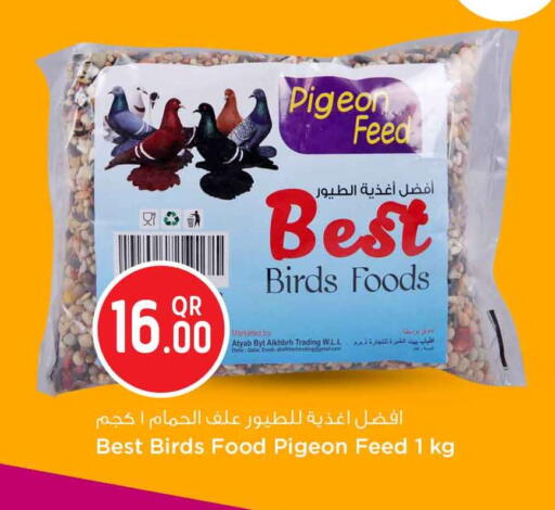 available at سفاري هايبر ماركت in قطر - الخور