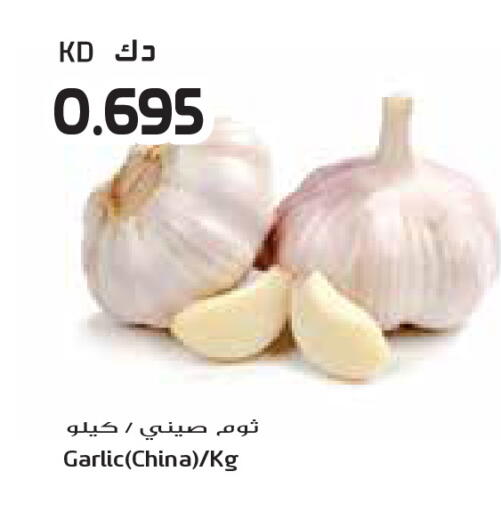 Garlic from China available at Grand Costo in Kuwait - Ahmadi Governorate