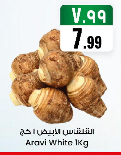 available at City Flower in KSA, Saudi Arabia, Saudi - Sakaka