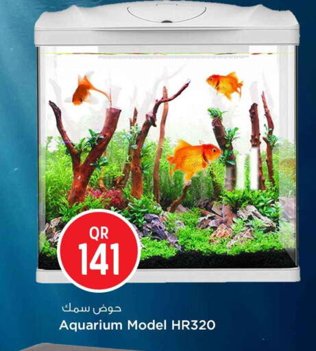 available at Safari Hypermarket in Qatar - Al Daayen