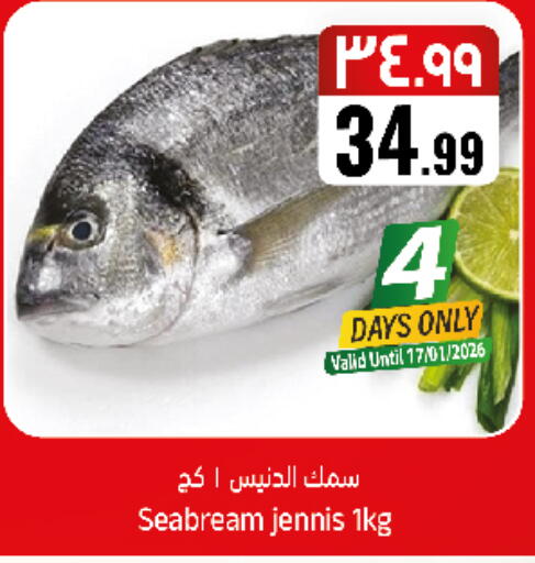 available at City Flower in KSA, Saudi Arabia, Saudi - Sakaka