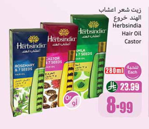 Rosemary available at Othaim Markets in KSA, Saudi Arabia, Saudi - Al Majmaah