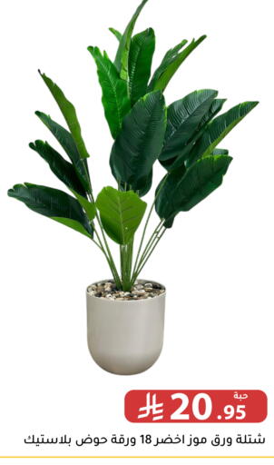 available at تخفيضات العائلة in مملكة العربية السعودية, السعودية, سعودية - الرياض