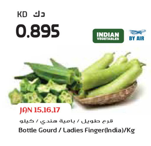 from India available at Grand Costo in Kuwait - Ahmadi Governorate