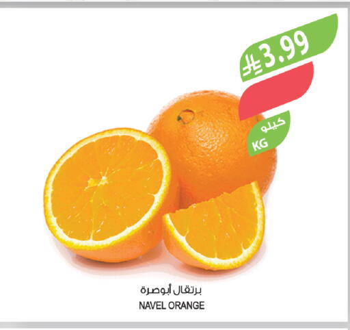 Orange available at المزرعة in مملكة العربية السعودية, السعودية, سعودية - الباحة