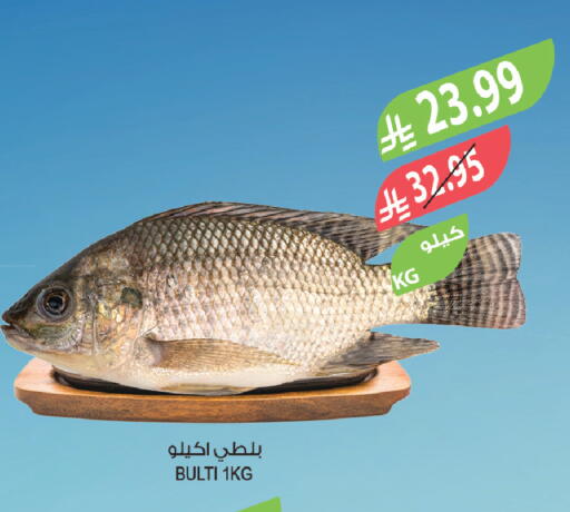 available at Farm  in KSA, Saudi Arabia, Saudi - Tabuk