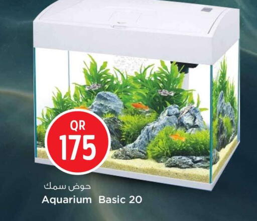 available at سفاري هايبر ماركت in قطر - الريان