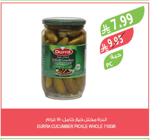 Cucumber available at Farm  in KSA, Saudi Arabia, Saudi - Jeddah