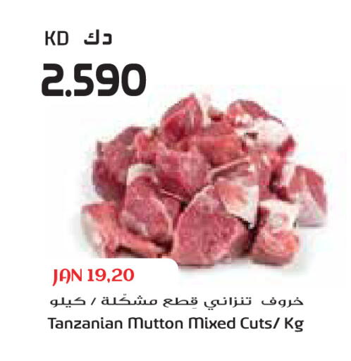 available at Grand Costo in Kuwait - Ahmadi Governorate
