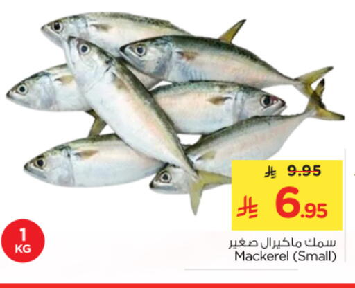 available at نستو in مملكة العربية السعودية, السعودية, سعودية - الرياض