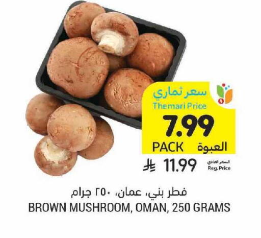 Mushroom from Oman available at Tamimi Market in KSA, Saudi Arabia, Saudi - Tabuk