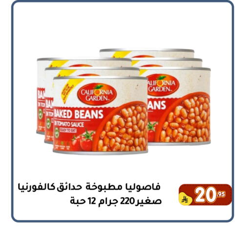 Tomato available at Family Discount in KSA, Saudi Arabia, Saudi - Dammam