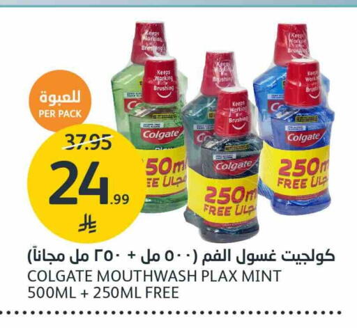 Mint available at AlJazera Shopping Center in KSA, Saudi Arabia, Saudi - Riyadh