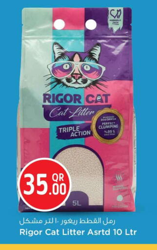 available at سفاري هايبر ماركت in قطر - أم صلال