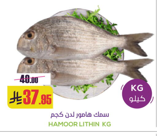 available at Sapt in KSA, Saudi Arabia, Saudi - Buraidah