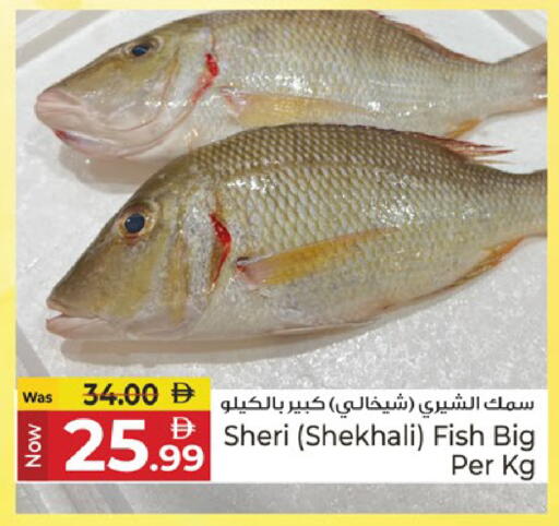 available at كنز هايبرماركت in الإمارات العربية المتحدة , الامارات - الشارقة / عجمان