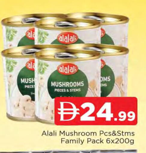 Mushroom available at المدينة in الإمارات العربية المتحدة , الامارات - الشارقة / عجمان