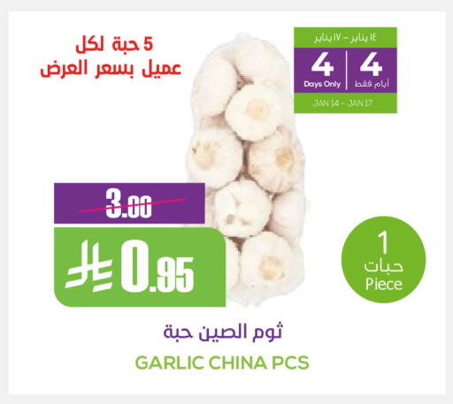 Garlic available at Sapt in KSA, Saudi Arabia, Saudi - Buraidah
