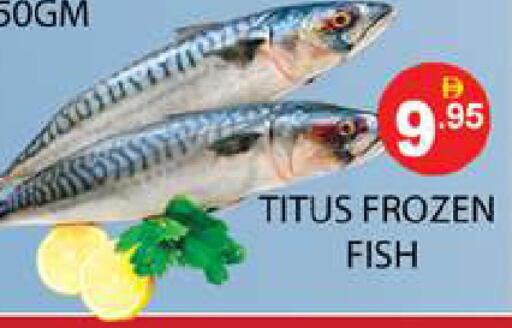 available at Zain Mart Supermarket in UAE - Ras al Khaimah