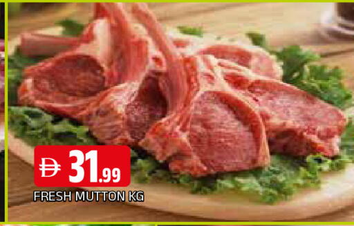 available at المدينة in الإمارات العربية المتحدة , الامارات - الشارقة / عجمان