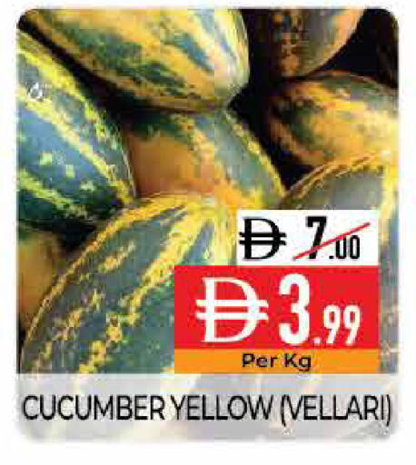 Cucumber available at ديلايس سوبرماركت in الإمارات العربية المتحدة , الامارات - أبو ظبي