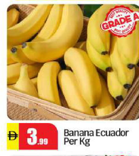 Banana from Ecuador available at بيج مارت in الإمارات العربية المتحدة , الامارات - أبو ظبي