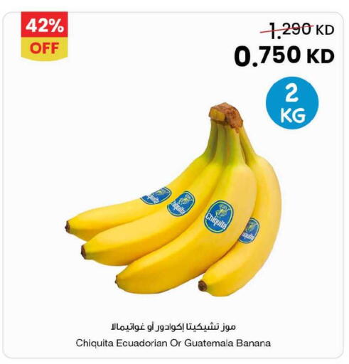Banana from Ecuador Guatemala available at The Sultan Center in Kuwait - Ahmadi Governorate