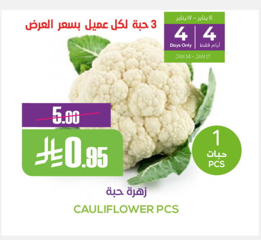 Cauliflower available at سبت in مملكة العربية السعودية, السعودية, سعودية - بريدة