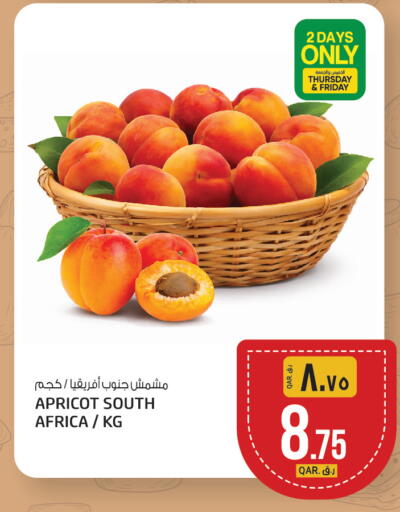 Apricot from South Africa available at Saudia Hypermarket in Qatar - Al Shamal