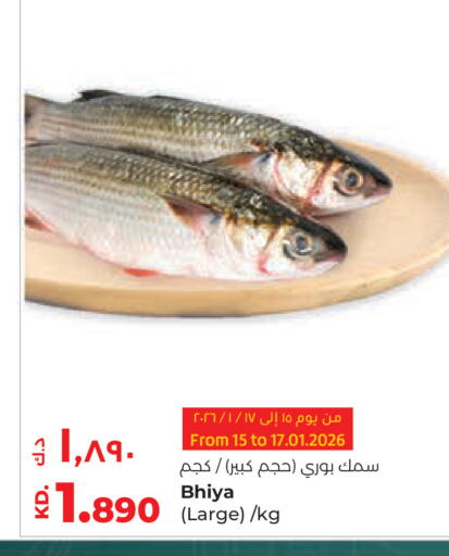 available at لولو هايبر ماركت in الكويت - محافظة الجهراء