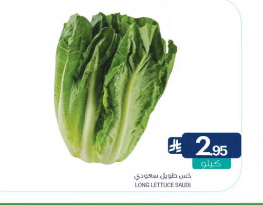 Lettuce available at اسواق المنتزه in مملكة العربية السعودية, السعودية, سعودية - سيهات