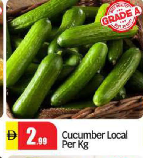 Cucumber available at بيج مارت in الإمارات العربية المتحدة , الامارات - أبو ظبي