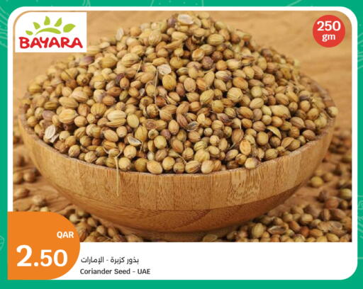 Coriander available at City Hypermarket in Qatar - Al Daayen