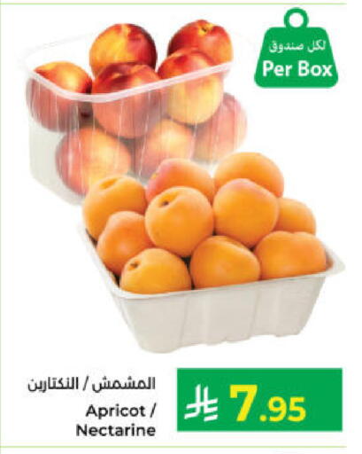 Apricot Nectarine available at Kabayan Hypermarket in KSA, Saudi Arabia, Saudi - Yanbu