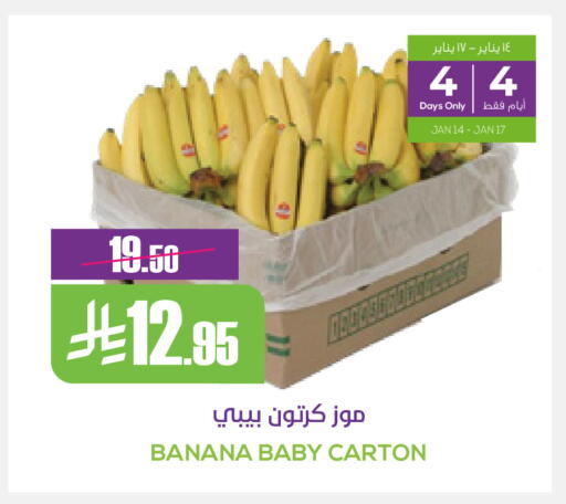 Banana available at سبت in مملكة العربية السعودية, السعودية, سعودية - بريدة