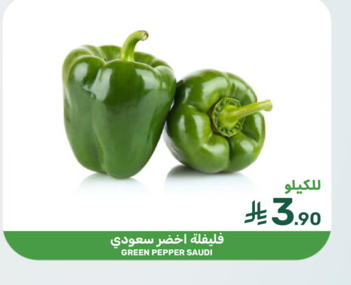 Pepper from Saudi Arabia available at  مـزايــا in مملكة العربية السعودية, السعودية, سعودية - القطيف‎