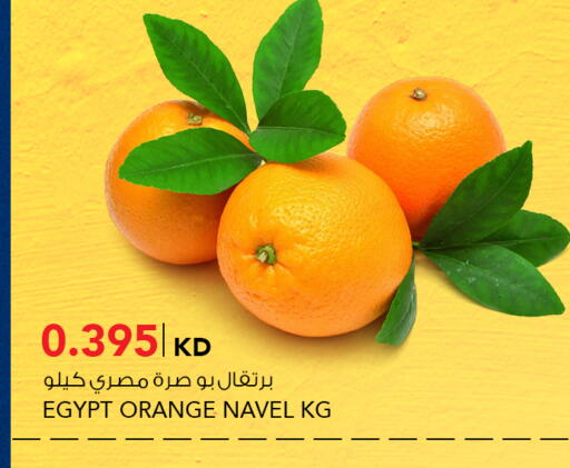 Orange from Egypt available at  ALNASSER HYPERMARKET in Kuwait - Ahmadi Governorate