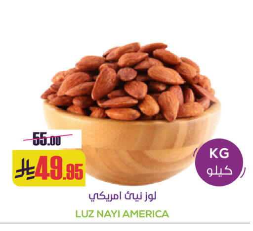 available at Sapt in KSA, Saudi Arabia, Saudi - Buraidah