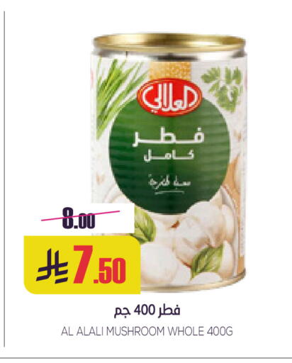 Mushroom available at Sapt in KSA, Saudi Arabia, Saudi - Buraidah