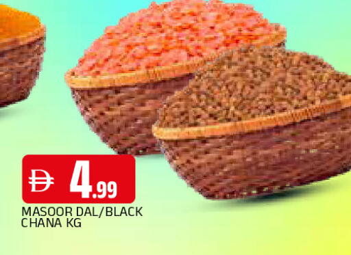 available at المدينة in الإمارات العربية المتحدة , الامارات - الشارقة / عجمان