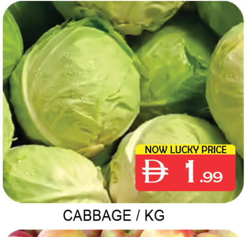 Cabbage available at لكي سنتر in الإمارات العربية المتحدة , الامارات - الشارقة / عجمان