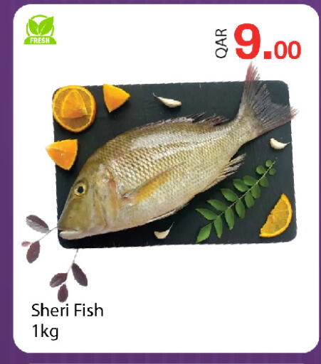 available at G MAX Hypermarket in Qatar - Doha