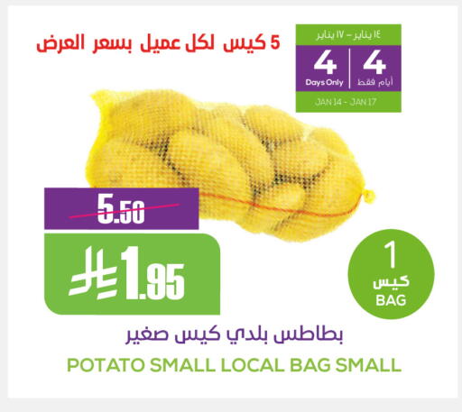 Potato available at سبت in مملكة العربية السعودية, السعودية, سعودية - بريدة