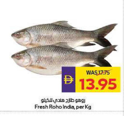 available at أدكووب in الإمارات العربية المتحدة , الامارات - أبو ظبي