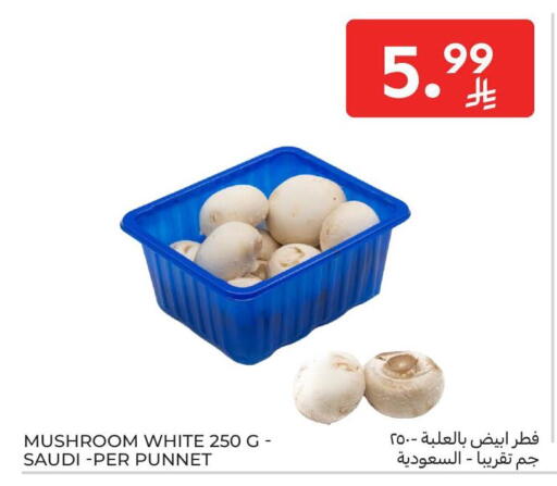 Mushroom from Saudi Arabia available at Carrefour in KSA, Saudi Arabia, Saudi - Riyadh